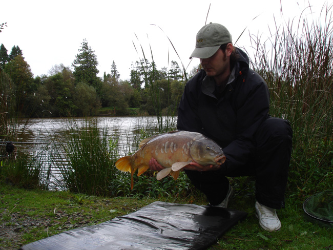 Caught from Anglers Paradise using Halibut Pellet on The Method